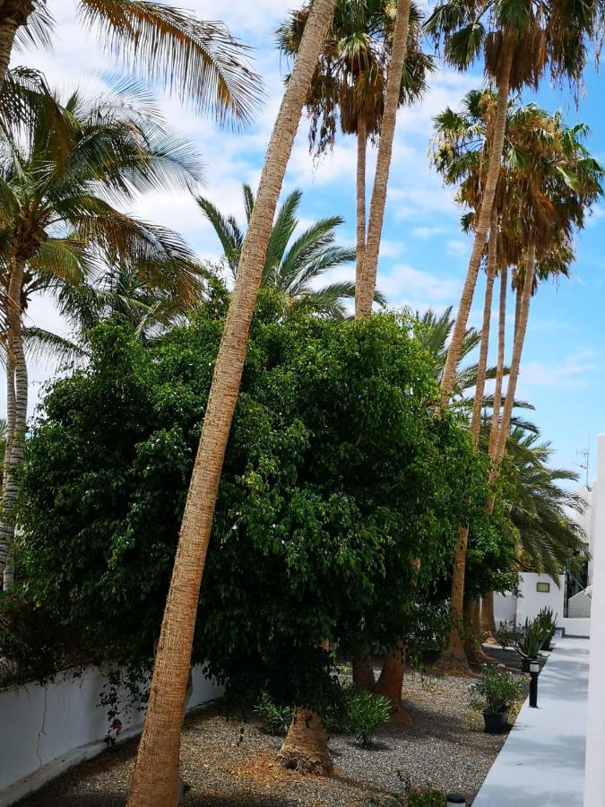 Estrella De Mar Lejlighed Tarajalejo Eksteriør billede